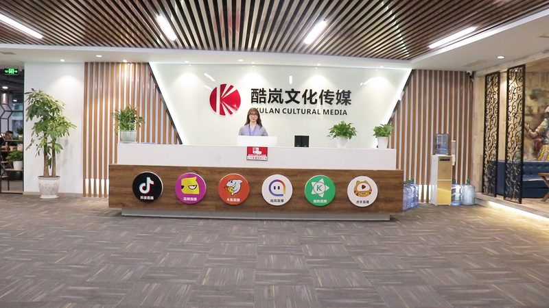 品牌策划与设计报价：揭秘背后的逻辑与考量
